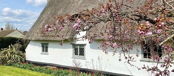 Beautifully Restored Thatched Cottage with Modern Comforts
