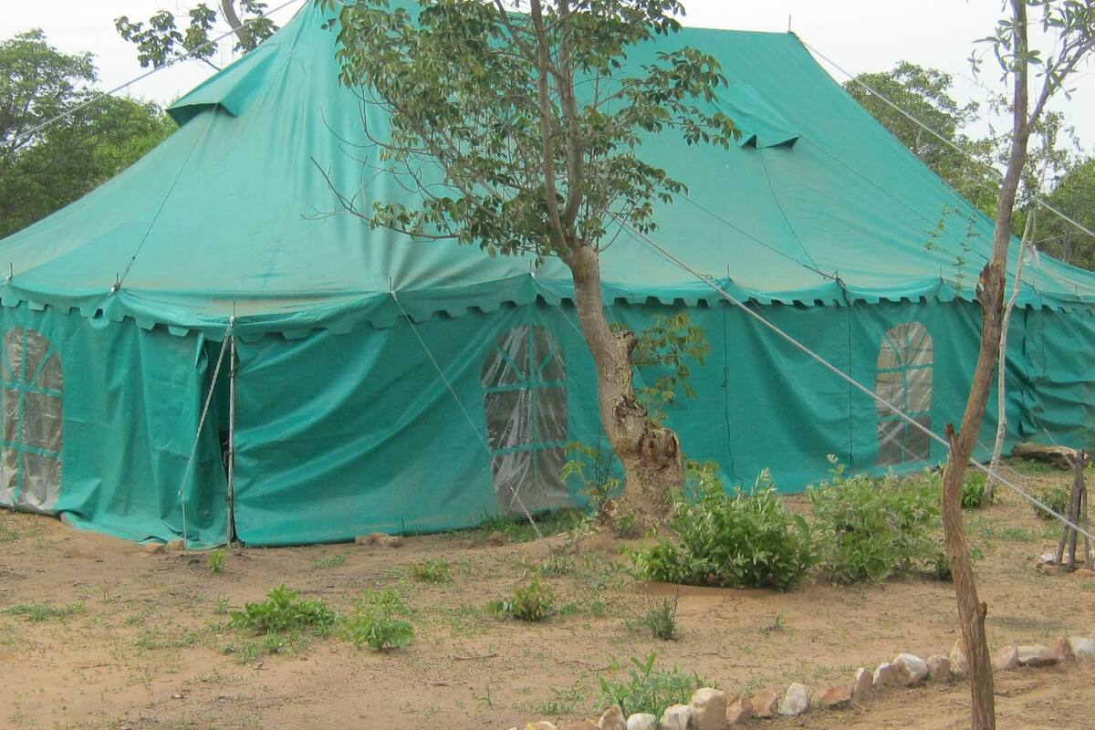 A large, green tent with multiple windows and a tree in front.