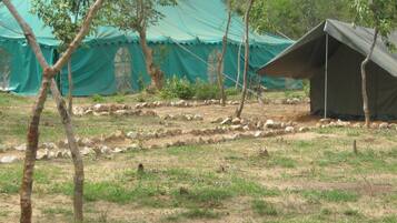 Tenda Basic | Minibar, brankas, kedap suara, dan setrika/meja setrika