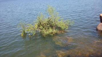 Pantai di sekitar dan pasir hitam