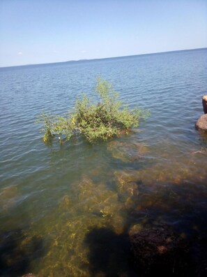 Beach nearby, black sand - Nahubwe Safari Lodge (Ngoma)