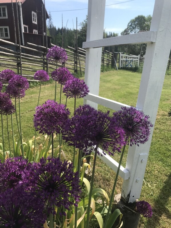 Áreas de la propiedad