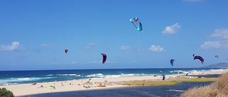 بالقرب من الشاطئ