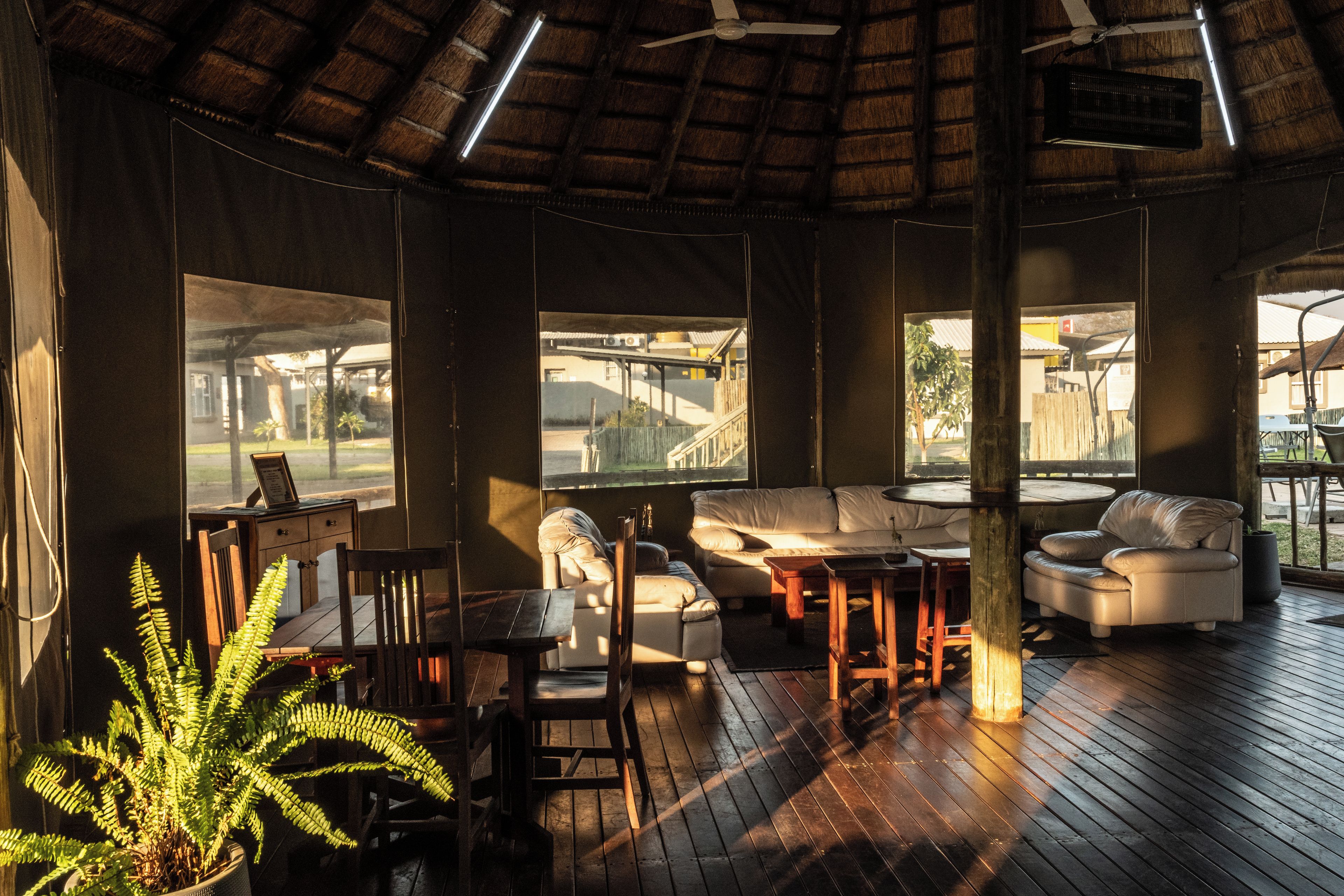 A room with a wooden floor, a sofa, a table, and a chair. There are windows and a ceiling fan.