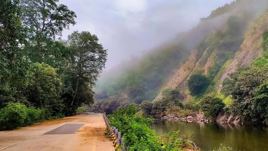Una carretera atraviesa un área boscosa, con un río a un lado y una colina empinada al otro.