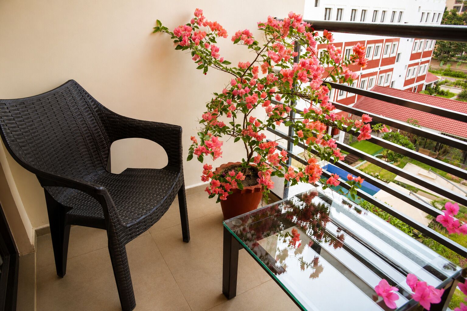 Ein Balkon mit einem Korbstuhl, einem Blumentopf mit rosa Blüten und einem Glastisch.