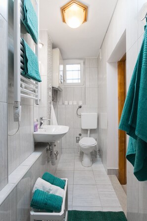 Dusche, Haartrockner, Handtücher, Toilettenpapier