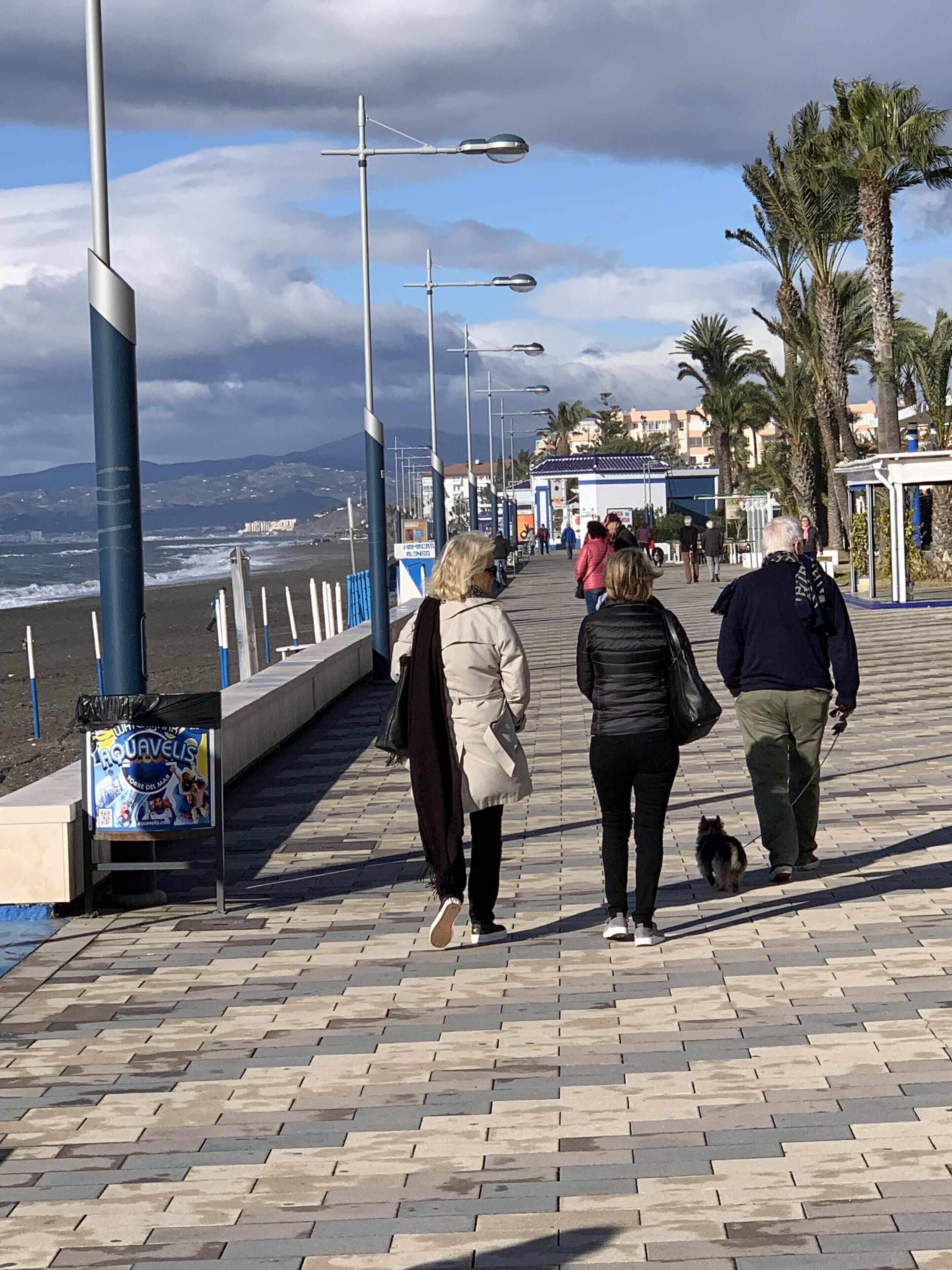 A paved walkway with street lamps, palm trees, and a view of the sea.