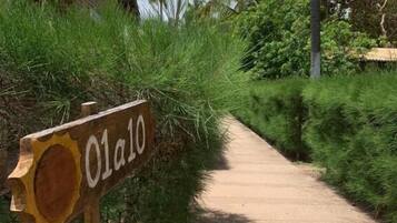 Área da propriedade