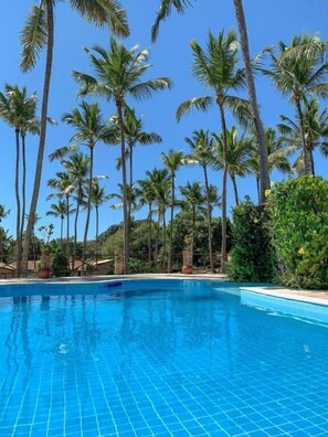 A clear blue pool surrounded by tall palm trees and greenery.