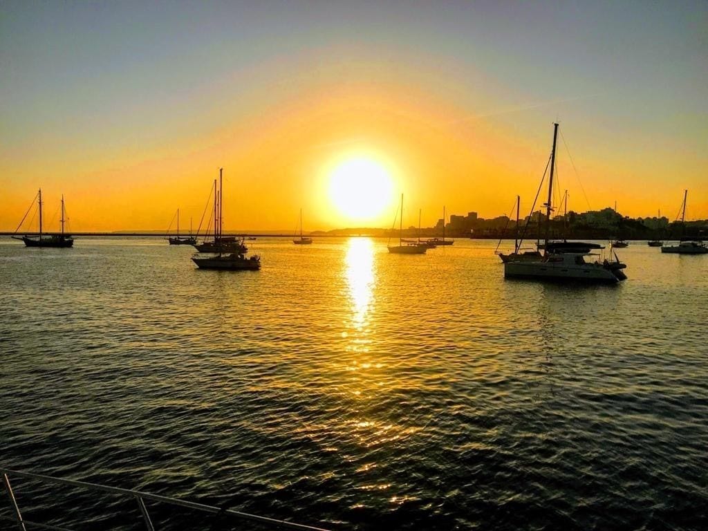 A marina with several sailboats anchored in calm waters during sunset.
