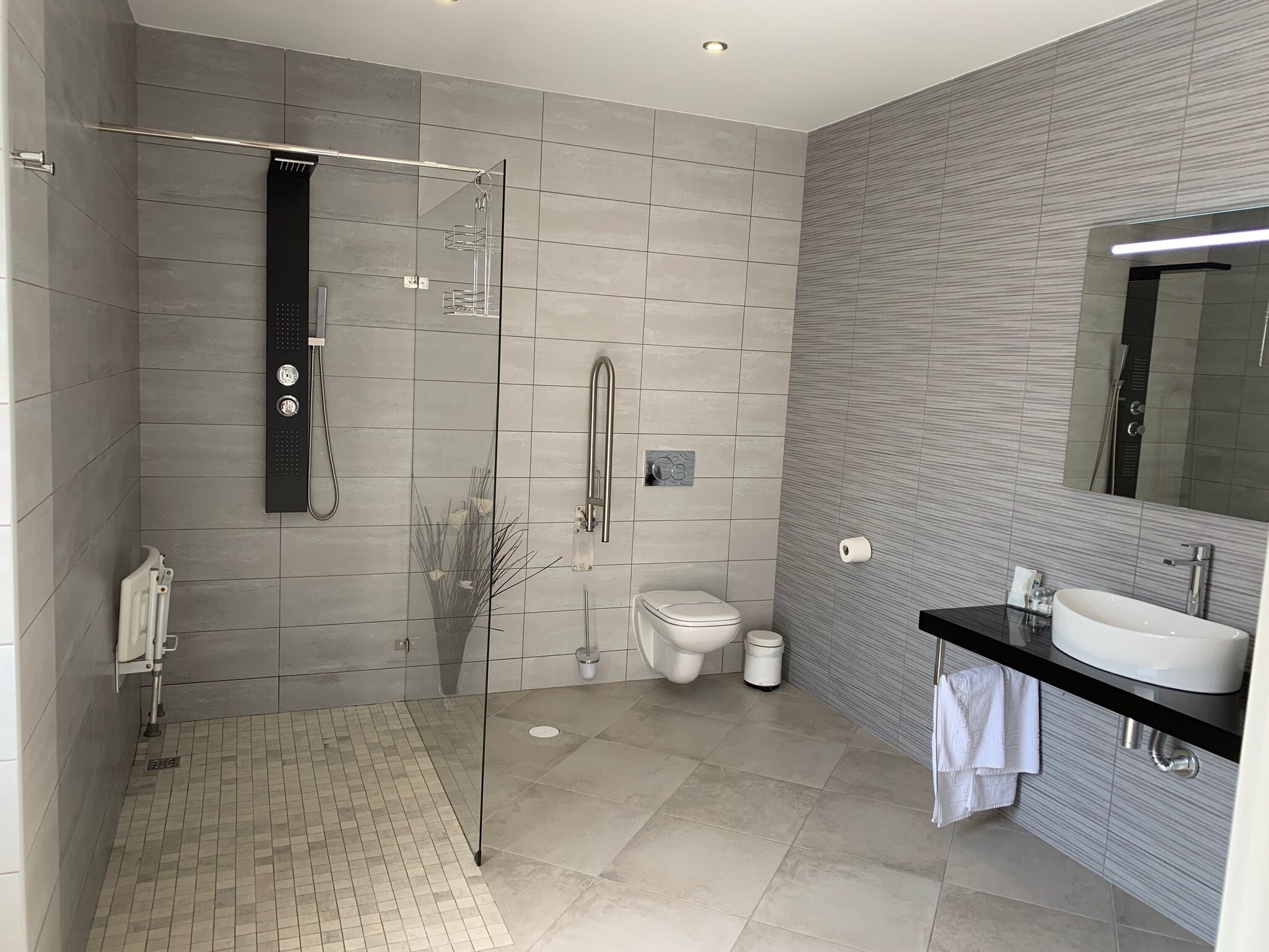 A modern bathroom with a glass shower enclosure, a toilet, and a sink with a mirror.