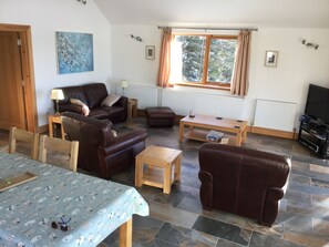 Fernseher, DVD-Player, Bücher