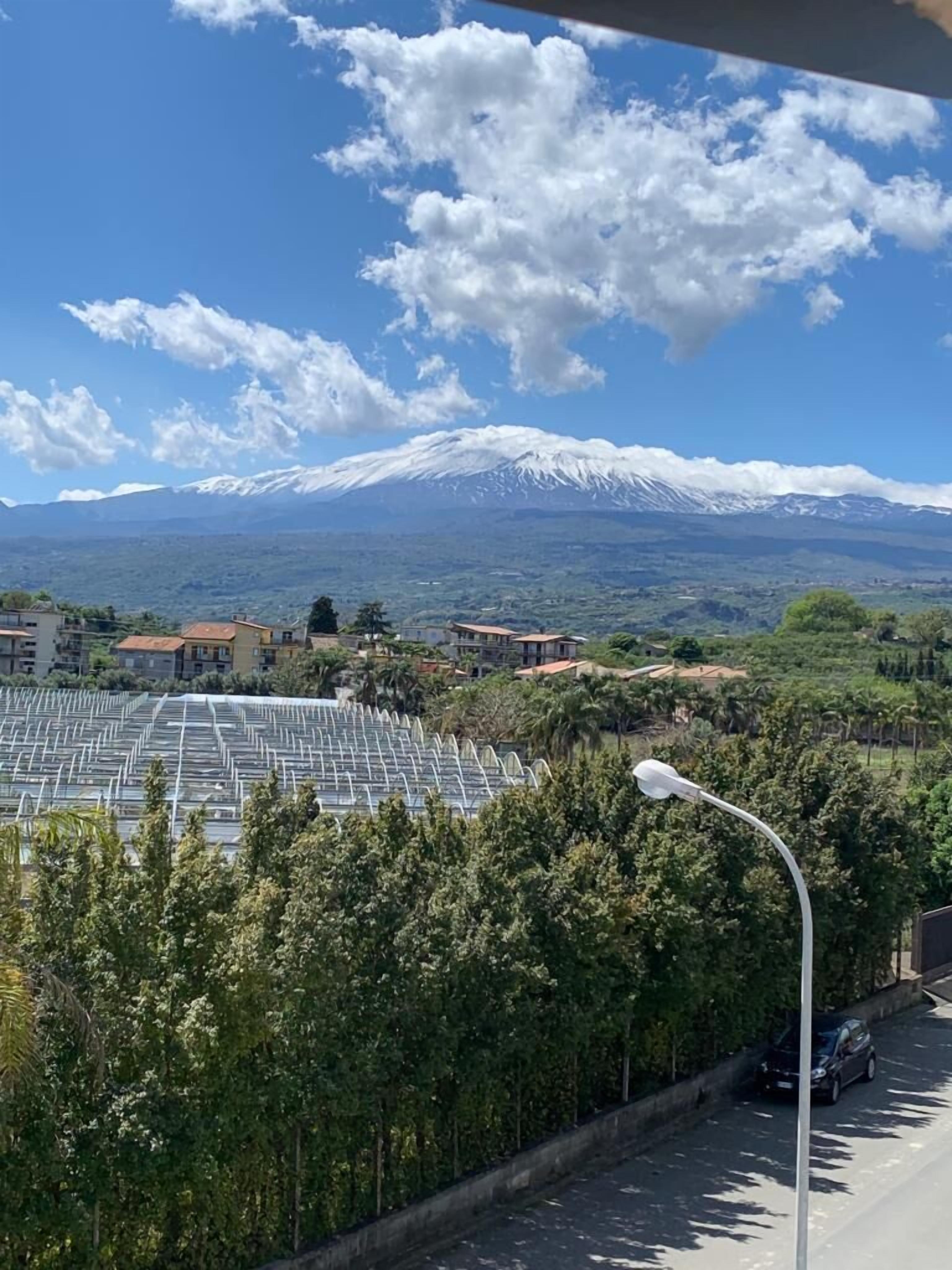 A view of a city with a large greenhouse complex, a street with parked cars, and a mountain with snow-capped peaks in the background.