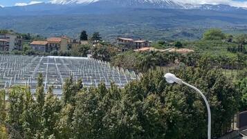 A view of a city with a large greenhouse complex, a street with parked cars, and a mountain with snow-capped peaks in the background.