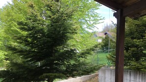 Un espace extérieur abrité, doté d’une structure en bois, d’un petit arbre et d’un mur en béton.