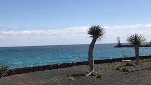 A coastal scene with two palm trees and a stone wall.