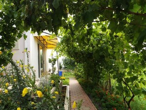 Detalle del exterior