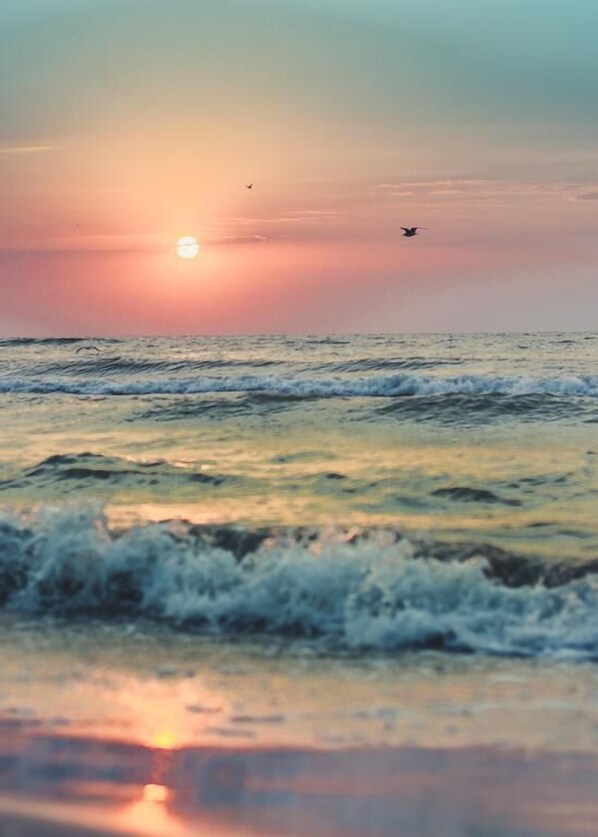 Detalle del exterior