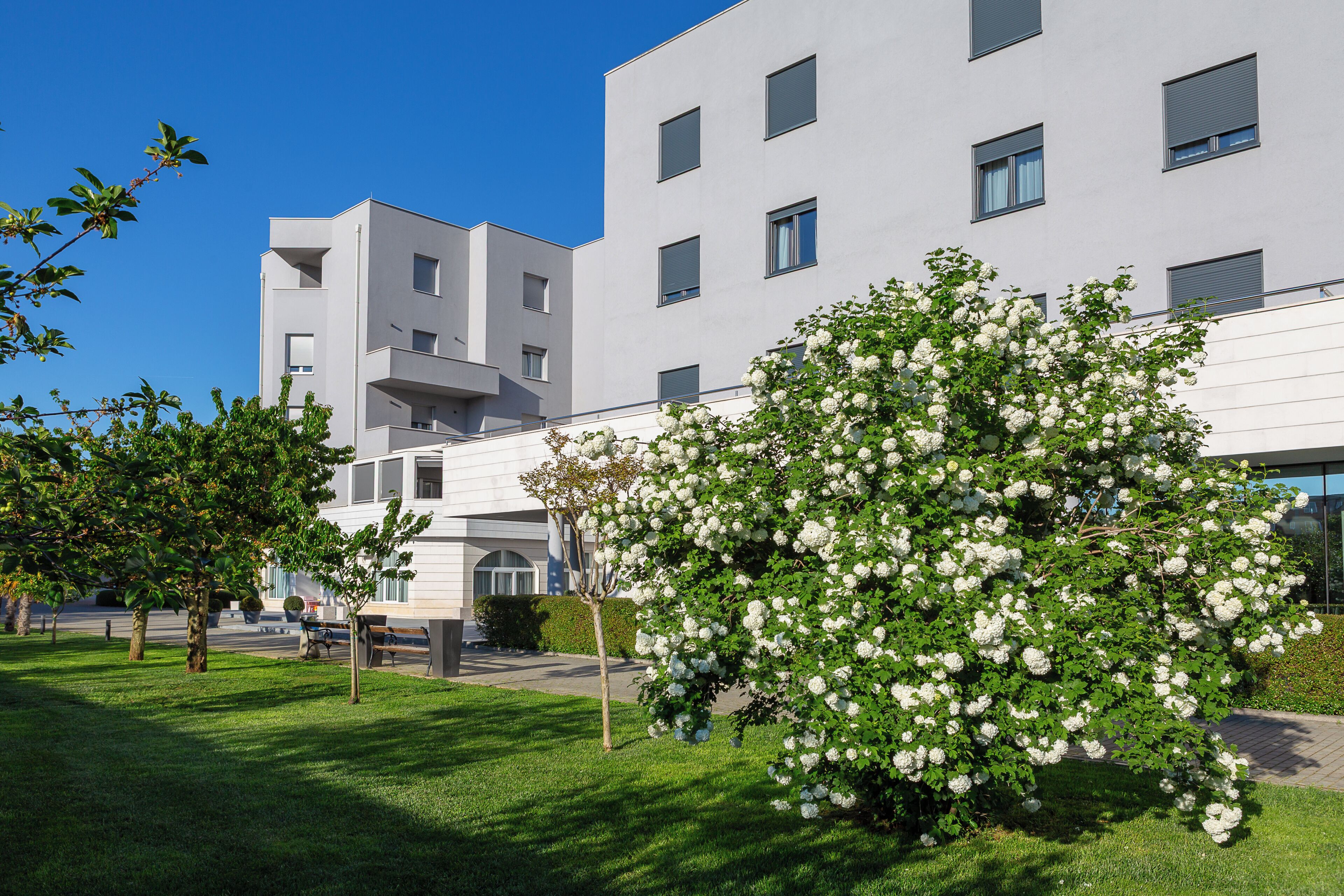 Foto - Hotel Palace Medjugorje