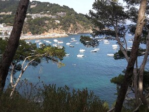 Jachthaven