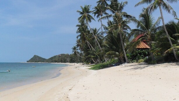 A beach with palm trees and a small building with a red roof. - 4 Bedroom Villa with Private Pool in Walled Garden (Mae Nam)