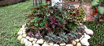 Kitara House vacation home x Day for up to 15 people in Tarapoto - Peru