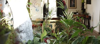 Kitara House vacation home x Day for up to 15 people in Tarapoto - Peru