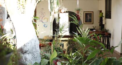 Kitara House für Reisende wie Sie, um sich wie zu Hause zu fühlen