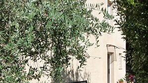 A building with a beige facade, a bench, and potted plants in the foreground. - Lovely cottage in the park of a Renaissance Villa (Capannori)
