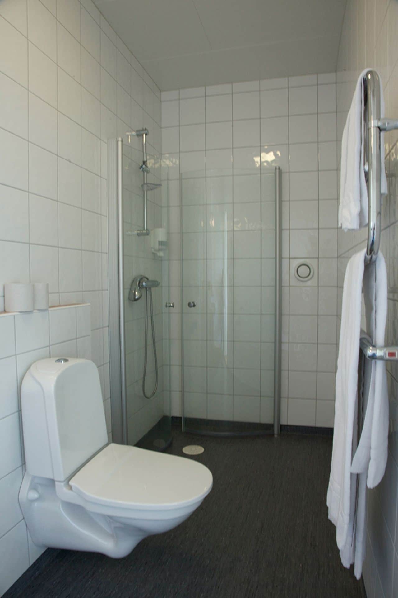 A modern bathroom with a glass-enclosed shower, a white toilet, and a towel rack.