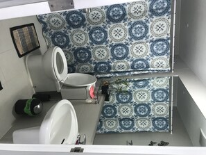 Bathroom features a toilet, sink, and mirror, with a patterned tile design on the walls and a small plant nearby.