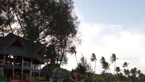 A beachside resort with thatched-roof structures, palm trees, and sun loungers. - Baridi Villa (Kiwengwa)