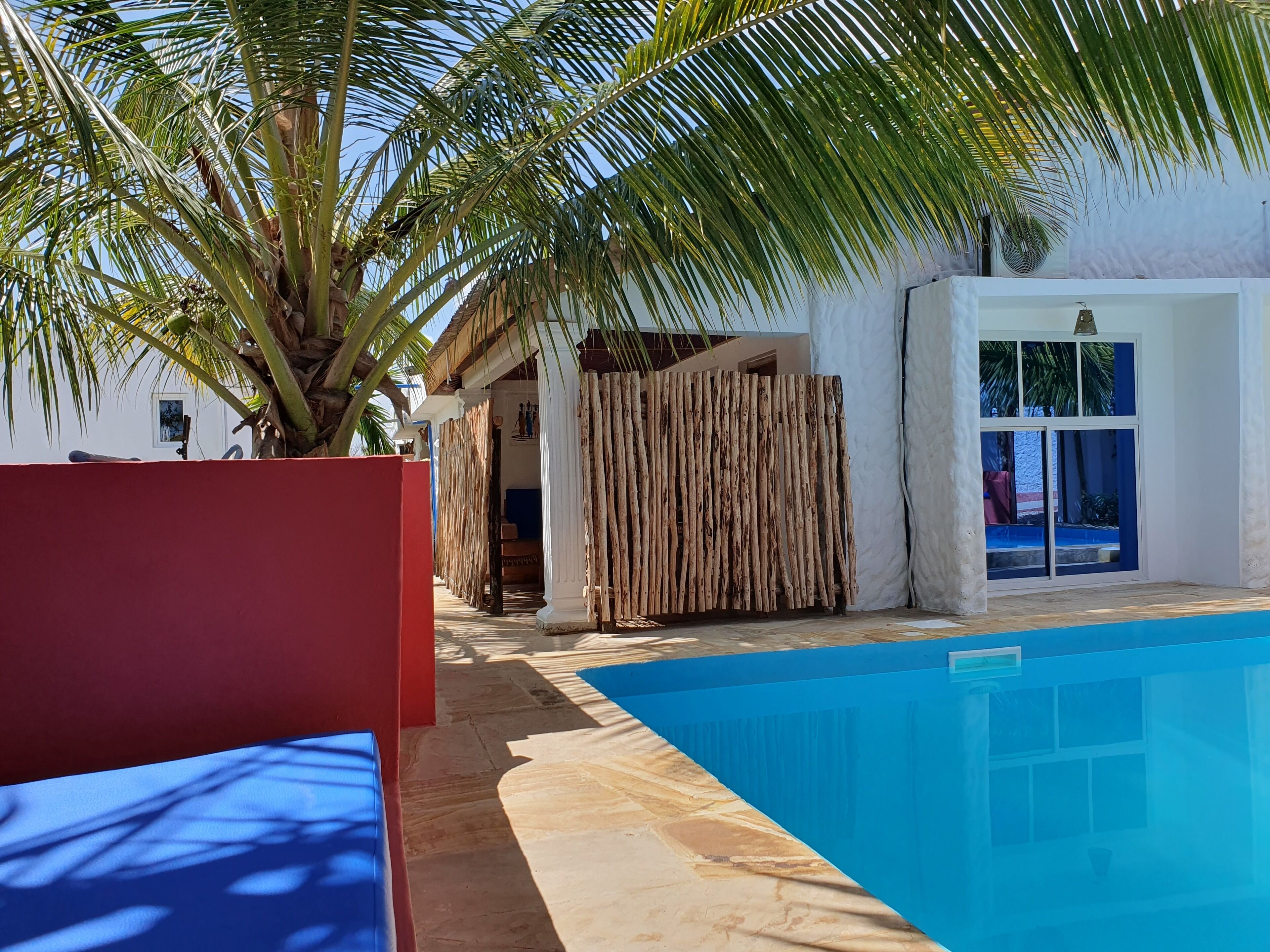 A pool area with a white building, a wooden fence, and a palm tree.