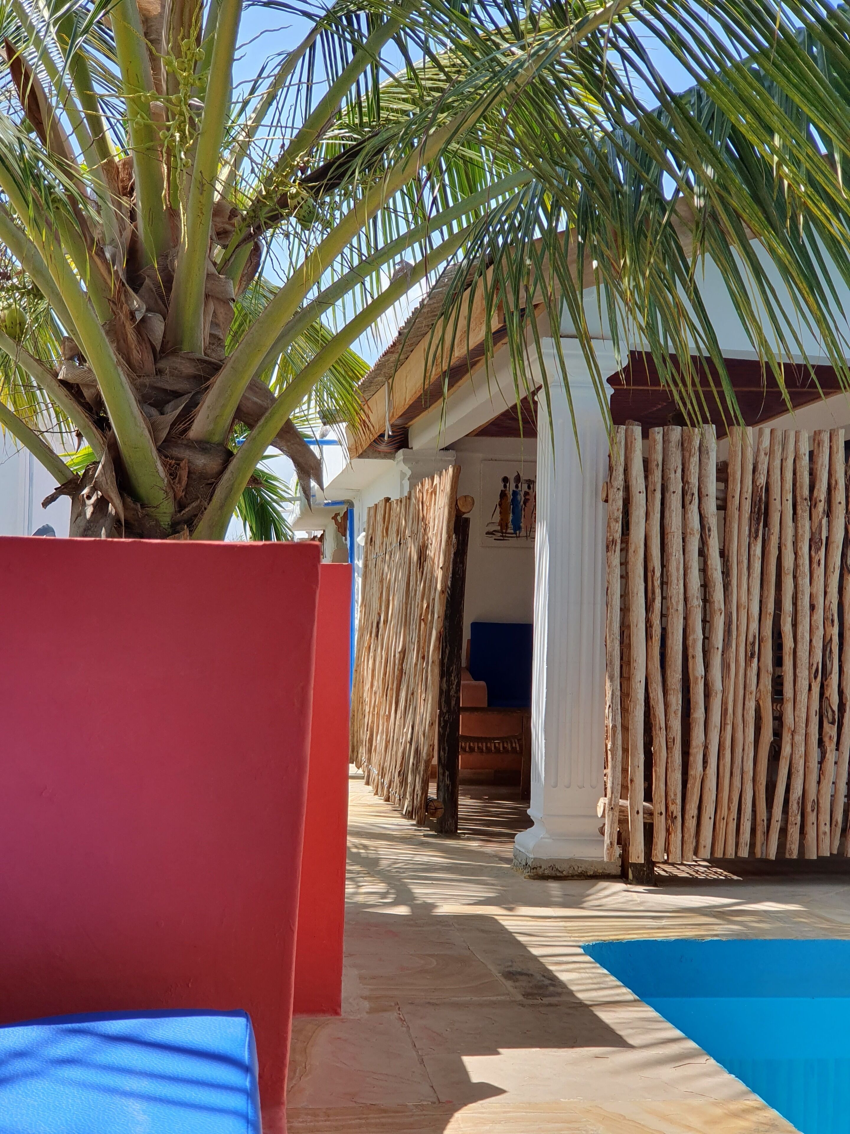 Un área de piscina con una palmera, una pared roja y una valla de madera.