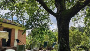 En rustik bygning med et stort træ, udendørs siddepladser og en murstensfacade.