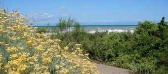 Grand appartement très bien meublé dans une villa, avec jardin et piscine. D.