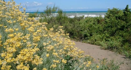 Grosse und sehr gut eingerichtete Wohnung in Villa, mit Garten und Pool. D.