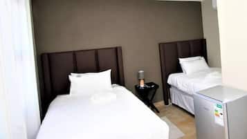 Twin Room | Minibar, desk, free rollaway beds, free WiFi