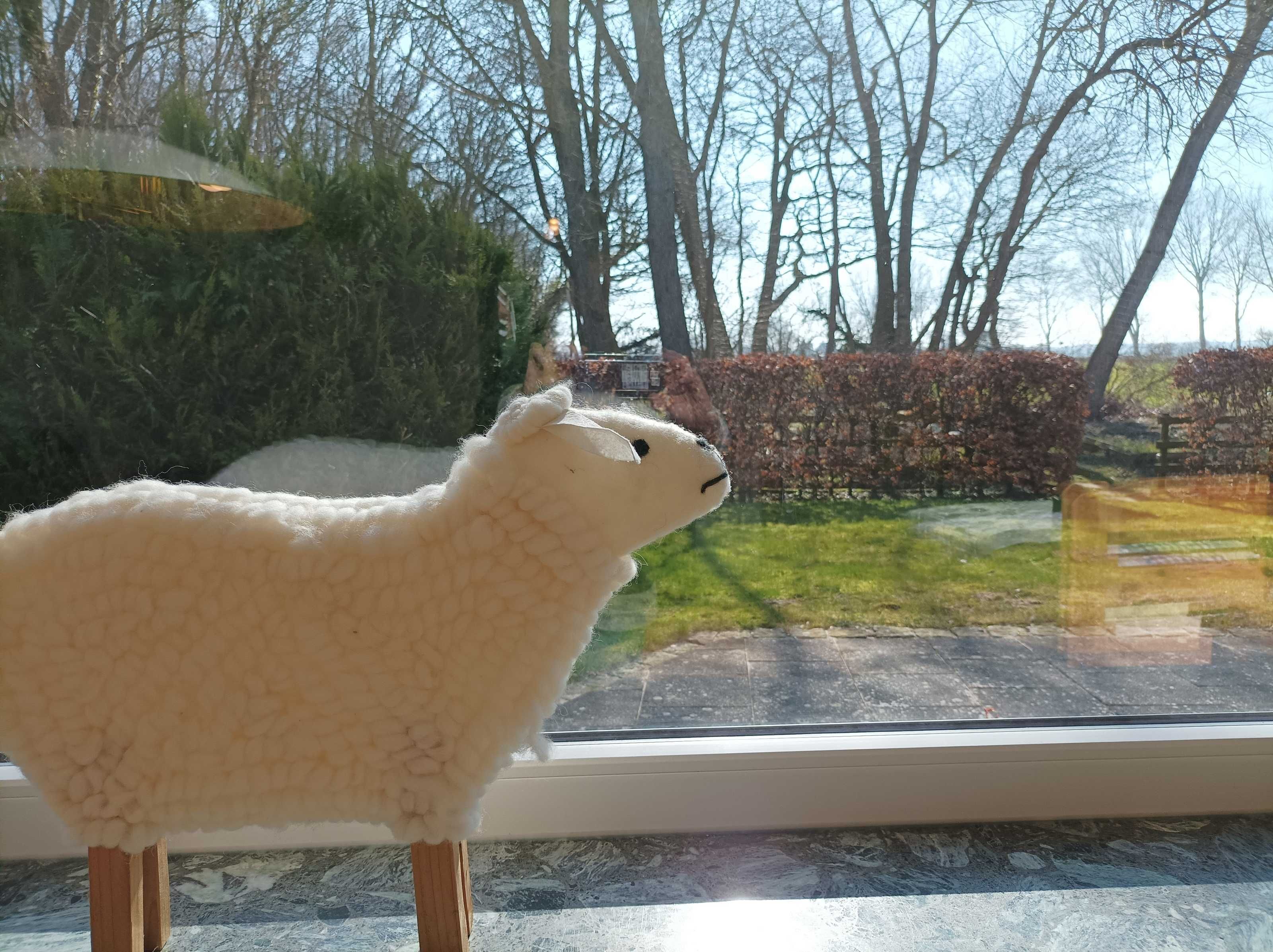 Un borrego de peluche sobre un atril de madera, junto a una ventana con vistas a un jardín con árboles y seto.