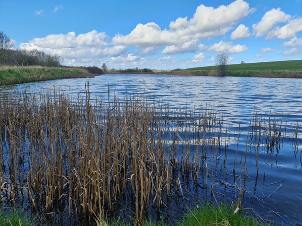 Unclassified image, 1 of 15, button