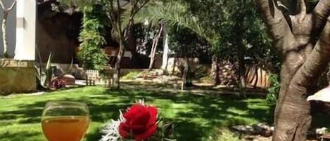 Terrein van de accommodatie