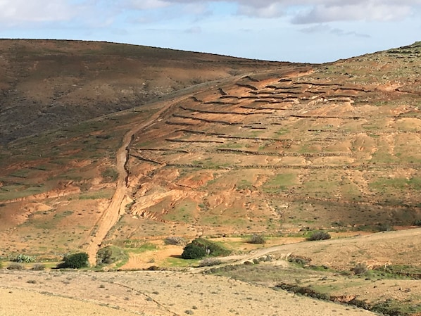 Un paysage vallonné, avec des champs en terrasses et un sentier de terre.
