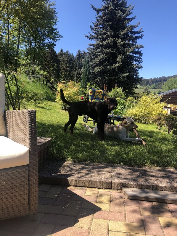 Property grounds - Vacation in the Ore Mountains (Sehmatal-Cranzahl)