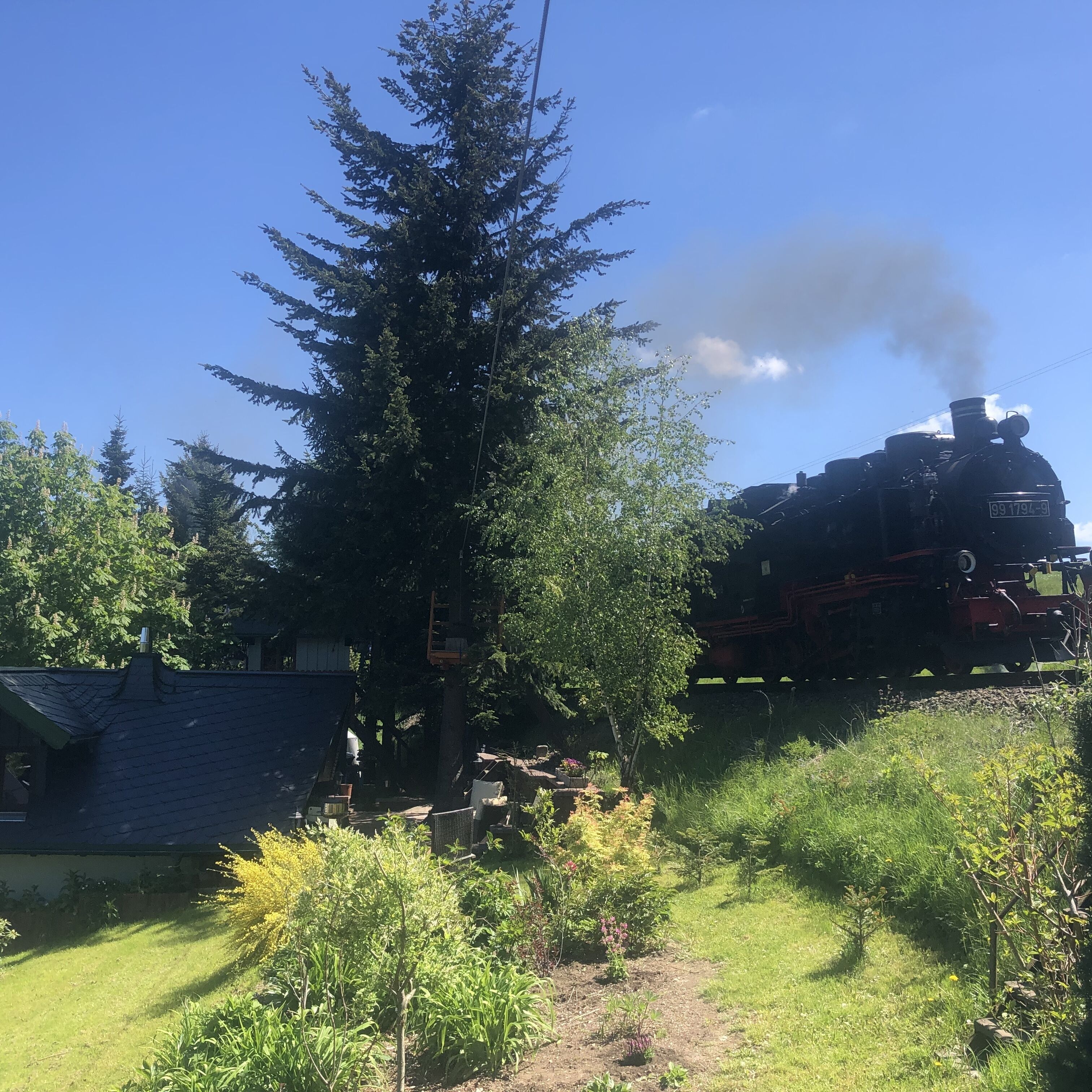 A steam locomotive with the number 991794-9 on a track, surrounded by greenery and trees.
