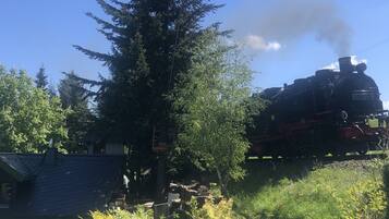 A steam locomotive with the number 991794-9 on a track, surrounded by greenery and trees.