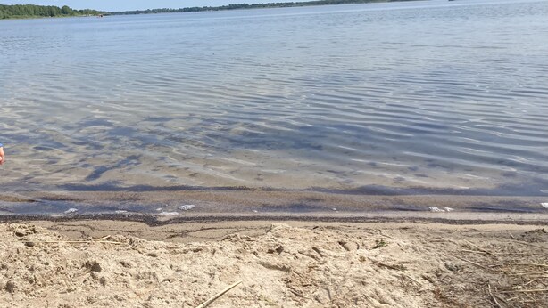 A beach with clear water, a sandy shore, and a distant boat on the water. - Vacation home close to nature with fireplace and rowing boat on Lake Plau - House 26 (Plau am See OT Quetzin)
