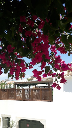 Balcony view - Calçada Guesthouse (Tavira)