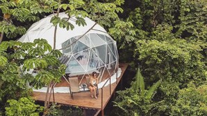A geodesic dome structure elevated on stilts amidst dense foliage. - El Mirador (Miramar)