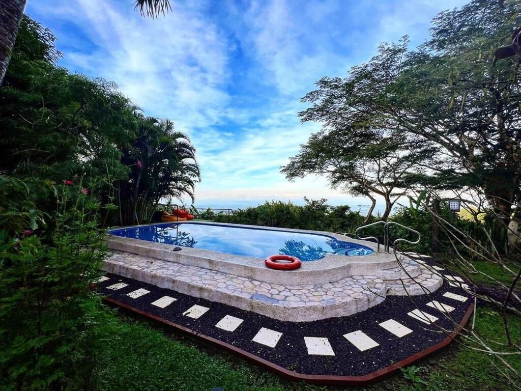 Une piscine bordée de pierres, avec une bouée rouge flottant à sa surface, entourée d’une végétation luxuriante et d’arbres.
